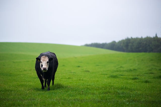 nsplsh_ee01d17acedf42159e1d081e3c5dc528~mv2